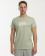 BASIC T-SHIRT MEN zeleno